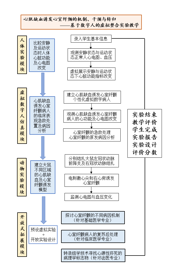 实验流程